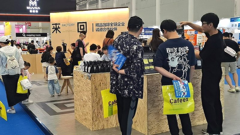 画册排版设计，揭秘专业软件的选择之道